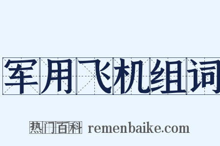 军用飞机组词是什么意思的图片